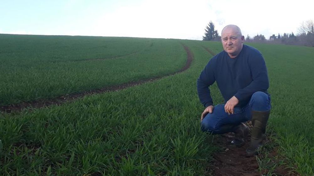 Patrice Pélissier cultive du triticale depuis trente ans. © P. Pélissier 